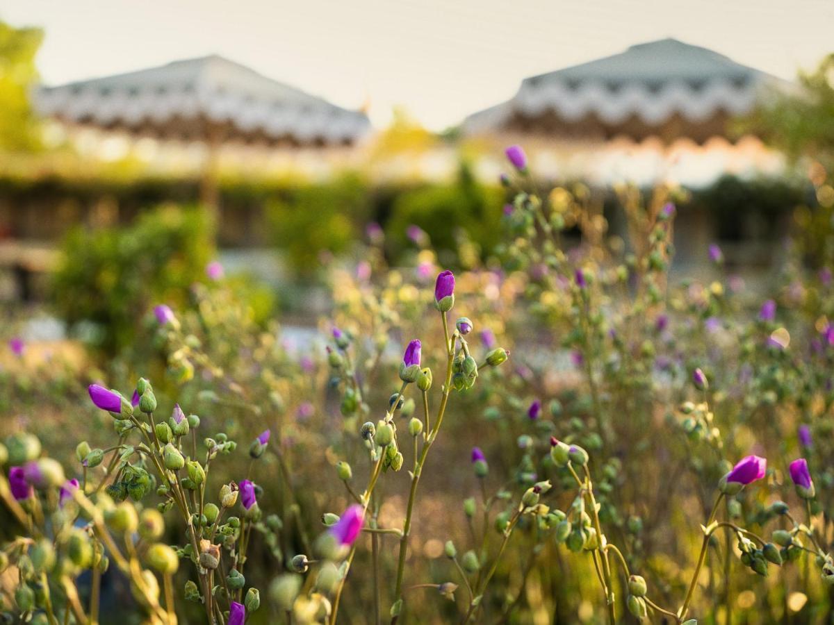 Hotel Ynez Solvang Εξωτερικό φωτογραφία